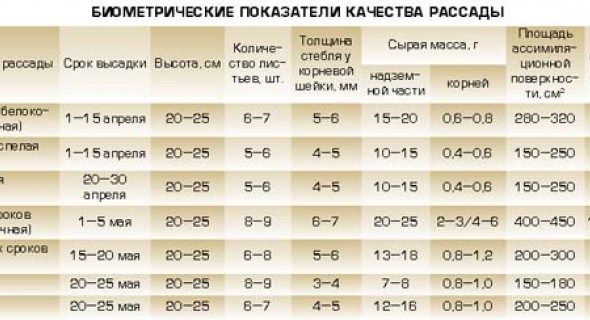 Закаливание рассады — десять дней строгого режима